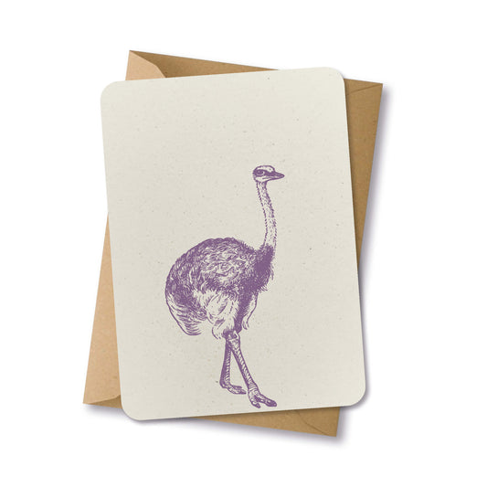 PAPERLOVER - Ansichtkaart duurzaam getekende struisvogel paars - 10 stuks