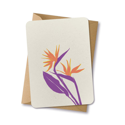 PAPERLOVER - Ansichtkaart duurzaam paradijsvogel bloem paars oranje - 10 stuks