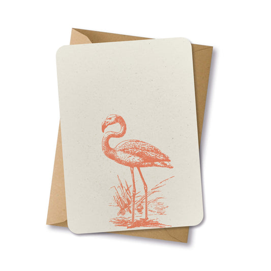 PAPERLOVER - Ansichtkaart duurzaam getekende flamingo oranjeroze - 10 stuks